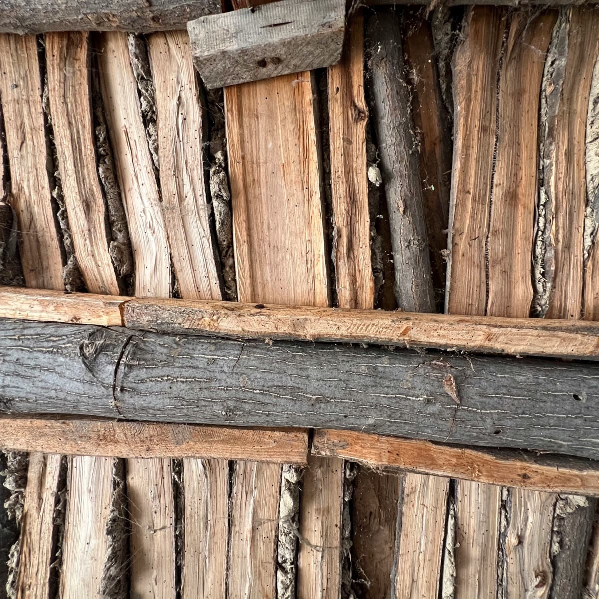 Termite / WDO field work